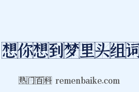 想你想到梦里头组词是什么意思的图片